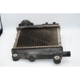 Radiatore Yamaha Tricity 125 dal 2014 al 2020  1686907299304
