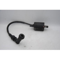 Bobina Accensione Kymco X-town 300 Dal 2016 al 2020  1694772176422