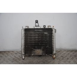 Radiatore Con Elettroventola Aprilia Scarabeo 250 Dal 2006 al 2011  1695108308180