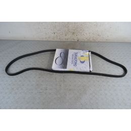 Cinghia Poly-V Ford Focus I dal 1998 al 2005 Cod 1729970092  1696345721862