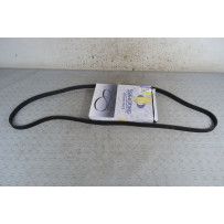 Cinghia Poly-V Ford Focus I dal 1998 al 2005 Cod 1729970092  1696345721862