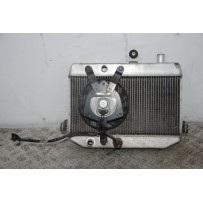 Radiatore + Elettroventola Suzuki Burgman 400 K7 dal 2007 al 2013  1696927489098
