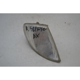 Freccia anteriore DX Renault Megane Scenic I Dal 1997 al 1999  1697113210007