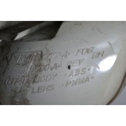 Fanale Retromarcia Posteriore DX Ford Focus Dal 1998 al 2005 Cod 1M51-15K272-A  1697189221914