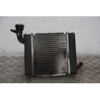 Radiatore + Elettroventola Kymco Dink 200 Carburatore dal 2007 al 2017  1697551386388