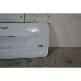 Pannello Portellone Bagagliaio Posteriore Smart ForTwo dal 2007 al 2015   Cod Q0007214V007C85L00  1697639449608