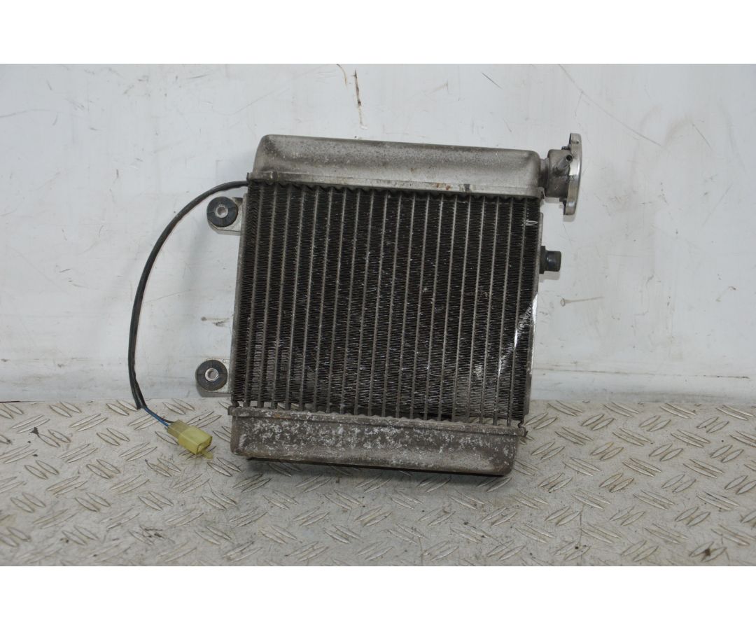 Radiatore + Elettroventola Honda Pantheon 125 / 150 Dal 2003 al 2008  1700219274740