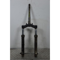 Forcella Honda Pantheon 125 / 150 4T ie Dal 1998 al 2008  1700487624155
