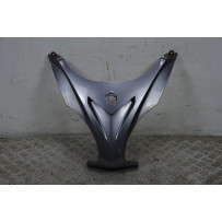 Carena Scudetto Anteriore Piaggio X9 250 Evoution Dal 2004 al 2006  1702393322385