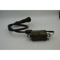Bobina Accensione Honda SH 150 ie Dal 2005 al 2008 COD MP06  1702479371146