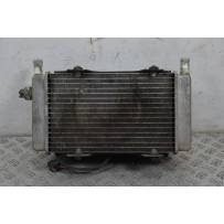 Radiatore + Elettroventola Aprilia Atlantic 125 / 200 Dal 2002 al 2011  1703153635424