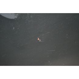 Portellone Bagagliaio Posteriore Smart Roadster W452 dal 2003 al 2005 Cod Q0009665V008000000  1704796582106