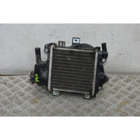 Radiatore Honda PCX 125 / 150 dal 2009 al 2016  1706183082831