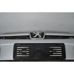 Paraurti anteriore Peugeot 307 Dal 2001 al 2009 Colore grigio OE 7401S6  1706797894370