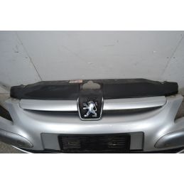Paraurti anteriore Peugeot 307 Dal 2001 al 2009 Colore grigio OE 7401S6  1706797894370