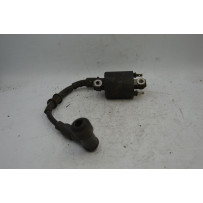 Bobina Accensione Honda PCX 125 / 150 dal 2009 al 2016  1707128579294