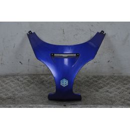 Carena Scudetto Boomerang Anteriore Piaggio X9 250 Dal 1999 al 2002  1707752765643