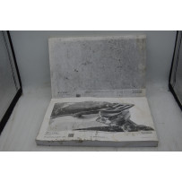 Libretti Uso e Manutenzione Peugeot Tweet 50 / 125 / 150 / 200  1708083689554