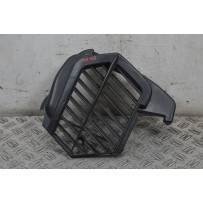 Carena Griglia Radiatore Honda PCX 125 / 150 dal 2009 al 2016  1709726087379
