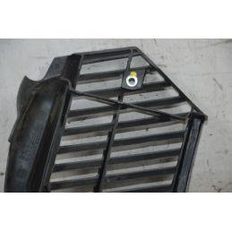 Carena Griglia Radiatore Honda PCX 125 / 150 dal 2009 al 2016  1709726087379