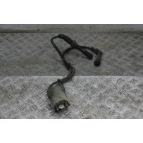 Bobina Accensione Honda VT 750 Shadow Dal 2004 al 2005  1710845408433