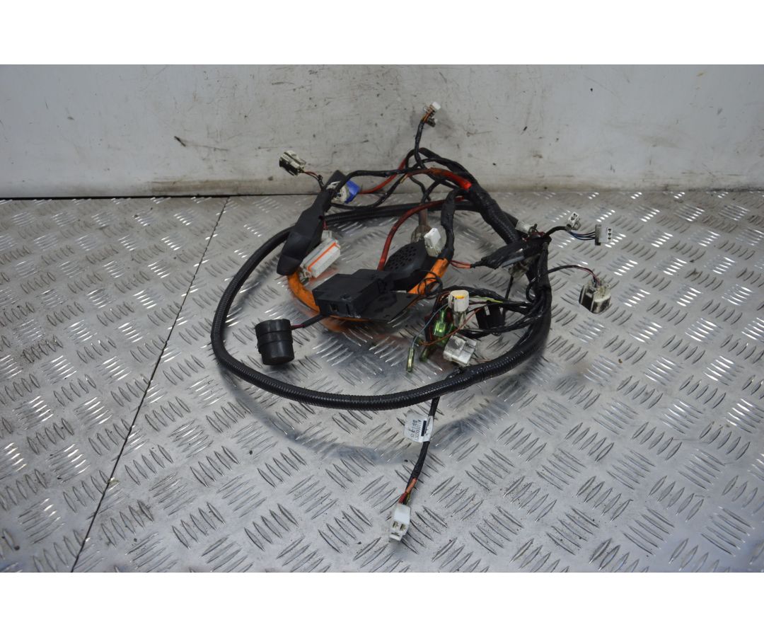 Cablaggio Impianto Elettrico Wayel W2 Dal 2020 Al 2024  1712307359710