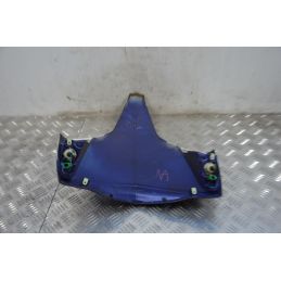 Carena Scudetto Anteriore Peugeot Geopolis 250 dal 2005 al 2012  1712312893230