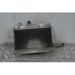 Radiatore Con elettroventola Suzuki Burgman 400 K7 dal 2007 al 2013  1713253186559