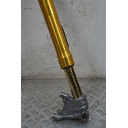 Stelo Con Piedino Sinistro OHLINS Triumph Speed Triple 1200 RR Dal 2022 Al 2024  1713282225151