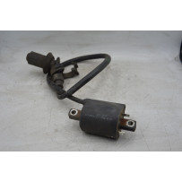 Bobina Accensione Kymco People One 125 / 150 Dal 2016 al 2018  1714488940503