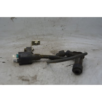 Bobina Accensione Malaguti F18 Warrior 150 Dal 2000 al 2002  1718892079262