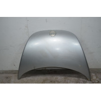 Cofano anteriore Volkswagen New Beetle Dal 1997 al 2005 Cod oe 1C0823031L  1726816874091