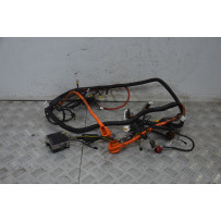 Cablaggio Impianto Elettrico Niu NQI GTS Dal 2020 al 2024  1729585107865