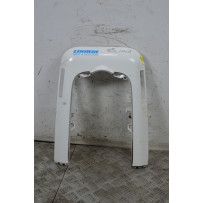 Carena Scudo Anteriore Askoll eS1 Dal 2017 Al 2020  1730373051444