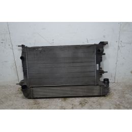 Radiatore Acqua Renault Megane III Dal 2008 al 2016 Cod 214105150R  1735550918527