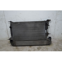 Radiatore Acqua Renault Megane III Dal 2008 al 2016 Cod 214105150R  1735550918527