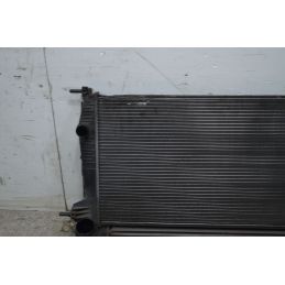 Radiatore Acqua Renault Megane III Dal 2008 al 2016 Cod 214105150R  1735550918527
