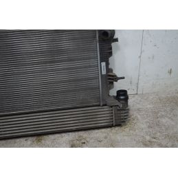 Radiatore Acqua Renault Megane III Dal 2008 al 2016 Cod 214105150R  1735550918527