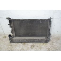 Radiatore Acqua Renault Megane III Dal 2008 al 2016 Cod 214105150R  1735550918527