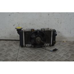 Radiatore Con Elettroventola Peugeot LXR 125 / 200 dal 2009 al 2014  1736343358216