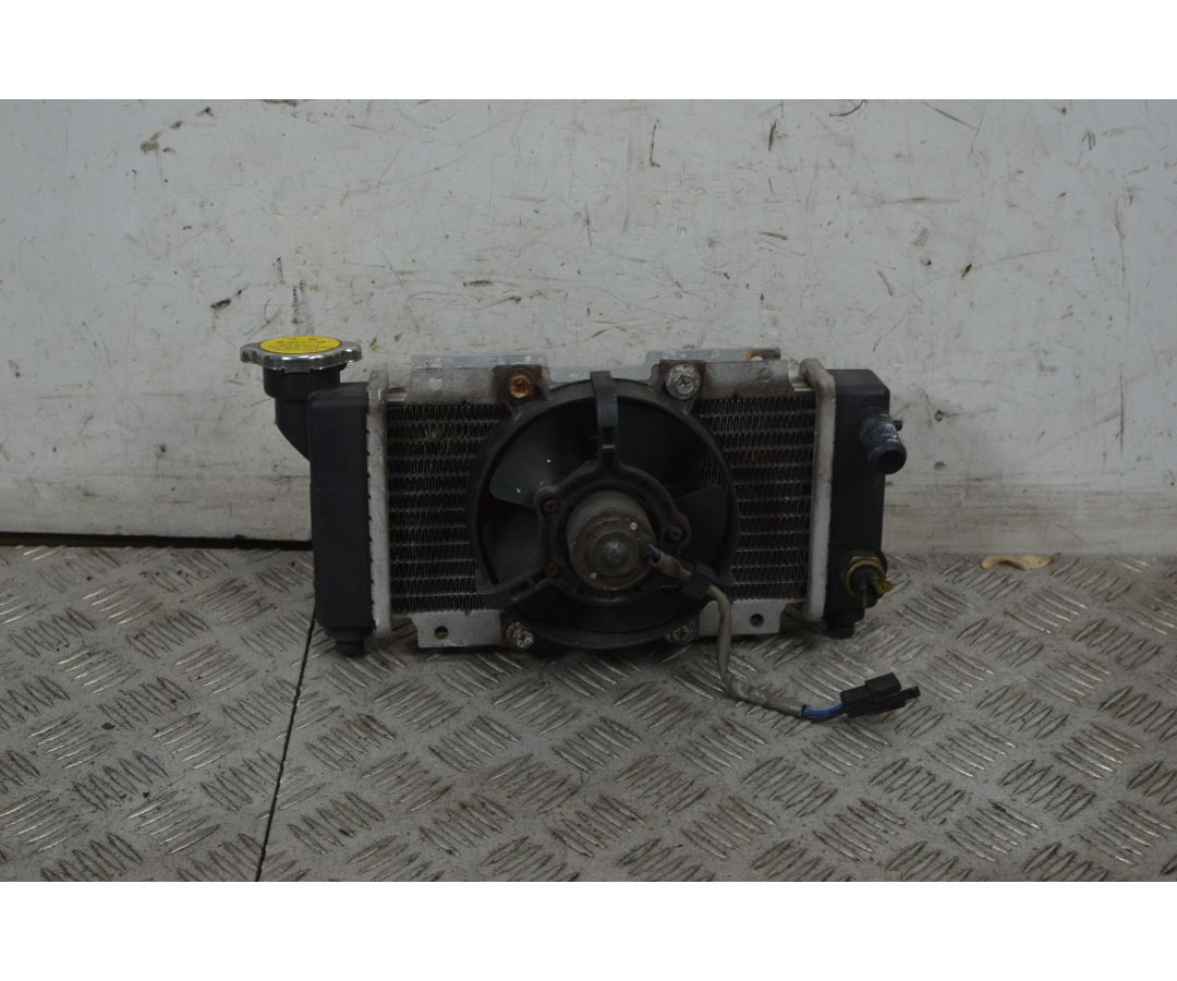 Radiatore Con Elettroventola Peugeot LXR 125 / 200 dal 2009 al 2014  1736343358216