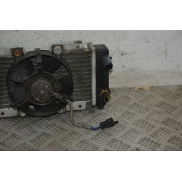 Radiatore Con Elettroventola Peugeot LXR 125 / 200 dal 2009 al 2014  1736343358216