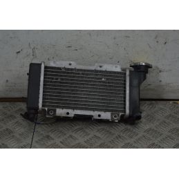 Radiatore Con Elettroventola Peugeot LXR 125 / 200 dal 2009 al 2014  1736343358216