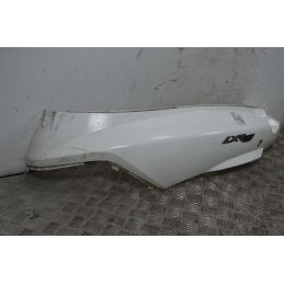 Carena Fianchetto Posteriore Sinistro Sx Peugeot LXR 125 / 200 dal 2009 al 2014  1736413624647
