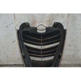 Carena Scudetto Anteriore Honda PS 125 / 150 dal 2006 al 2012  1737380857489