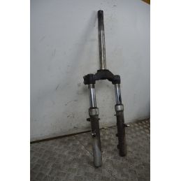 Forcella Aprilia Atlantic 250 Dal 2002 al 2011  1737560495500