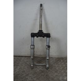 Forcella Aprilia Scarabeo 500 dal 2002 al 2006  1737622926270