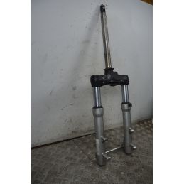 Forcella Aprilia Scarabeo 500 dal 2002 al 2006  1737622926270