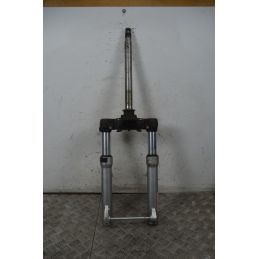 Forcella Aprilia Scarabeo 500 dal 2002 al 2006  1737622926270