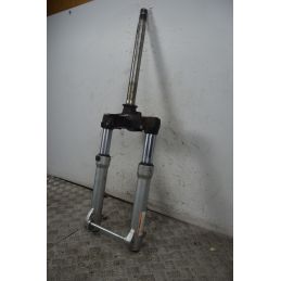 Forcella Aprilia Scarabeo 500 dal 2002 al 2006  1737622926270